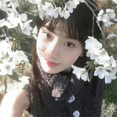 野玫瑰之恋