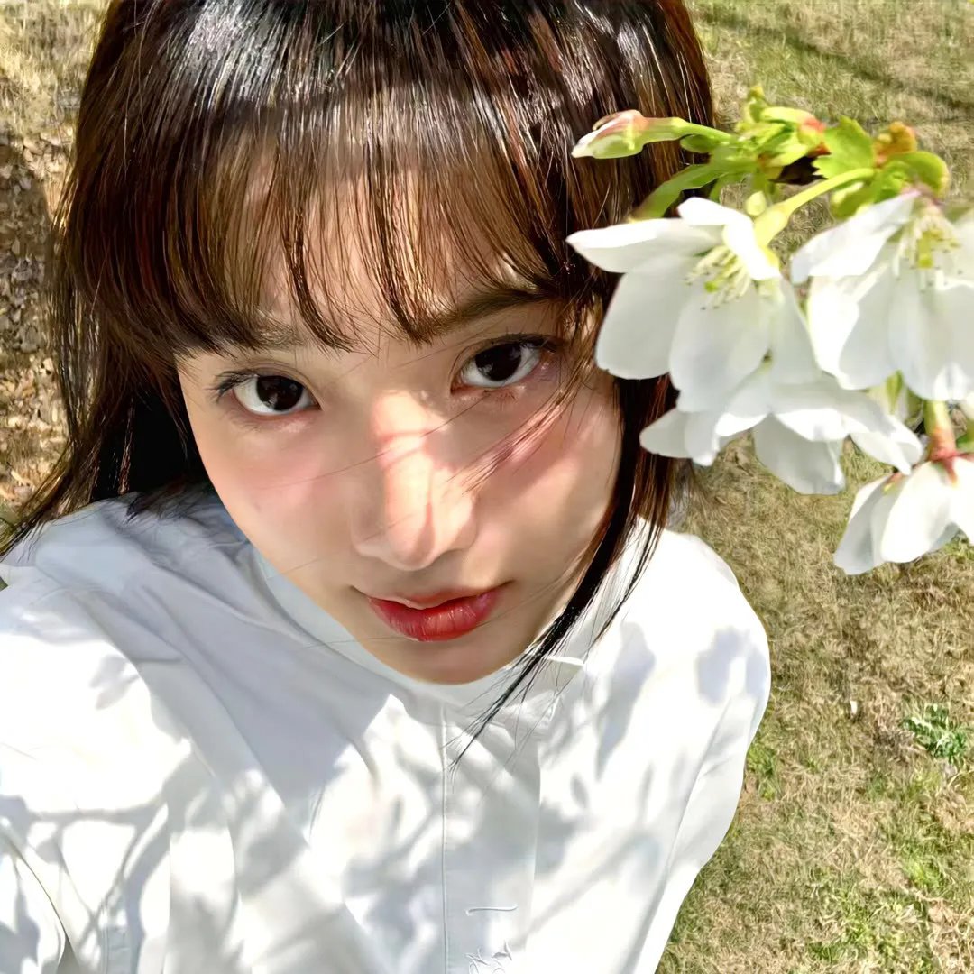 我的夏日恋曲